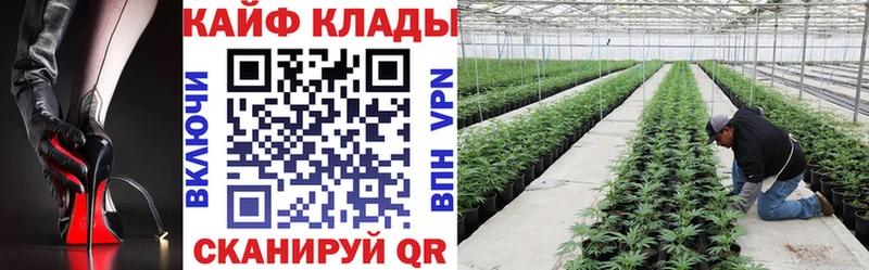 Где купить Армавир А ПВП  ГАШ  АМФЕТАМИН  Псилоцибиновые грибы  КОКАИН 