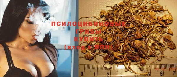 не бодяженный Зеленодольск