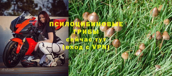 ECSTASY Зеленокумск