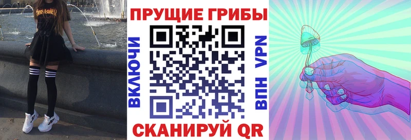 Галлюциногенные грибы Psilocybine cubensis  Армавир 