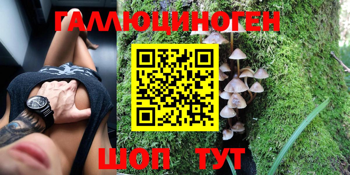Галлюциногенные грибы Psilocybine cubensis Армавир
