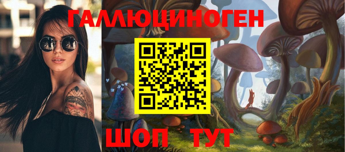 даркнет сайт  Вход с VPN  Армавир  Псилоцибиновые грибы мицелий 